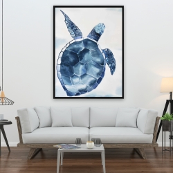 Encadré 36 x 48 - Tortue bleu