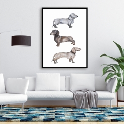 Encadré 36 x 48 - Chiens teckel
