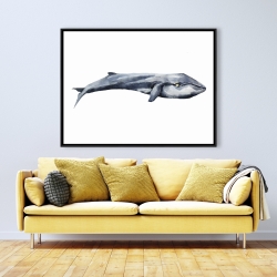 Encadré 36 x 48 - Baleine en aquarelle
