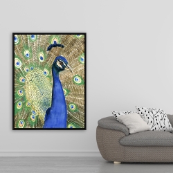 Encadré 36 x 48 - Paon