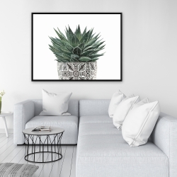 Framed 36 x 48 - Zebra plant succulent