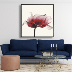 Encadré 48 x 48 - Fleur anémone