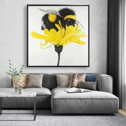Framed 48 x 48 - Bumblebee on a dandelion