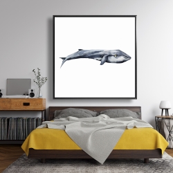 Encadré 48 x 48 - Baleine en aquarelle