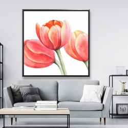 Framed 48 x 48 - Three tulips closeup