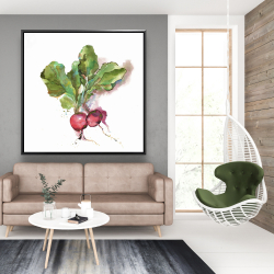 Encadré 48 x 48 - Radis à l'aquarelle