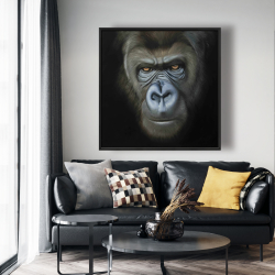 Encadré 48 x 48 - Visage de gorille