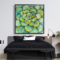 Encadré 48 x 48 - Succulent à l'aquarelle