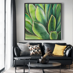 Encadré 48 x 48 - Plante d'agave à l'aquarelle