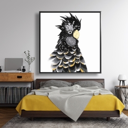 Framed 48 x 48 - Red-tailed cockatoo parrot