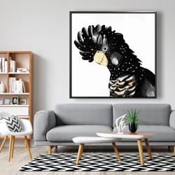 Framed 48 x 48 - Cockatoo parrot