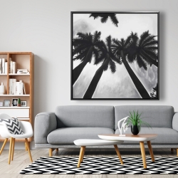 Framed 48 x 48 - Monochrome palm trees