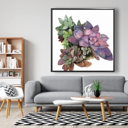 Framed 48 x 48 - Succulent plant