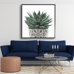 Framed 48 x 48 - Zebra plant succulent