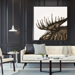 Encadré 48 x 48 - Panache d'orignal sépia
