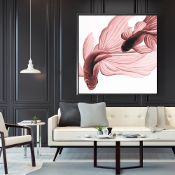 Encadré 48 x 48 - Poissons betta rouge