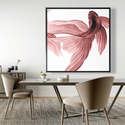 Encadré 48 x 48 - Poissons betta rouge