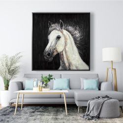 Framed 48 x 48 - White star horse