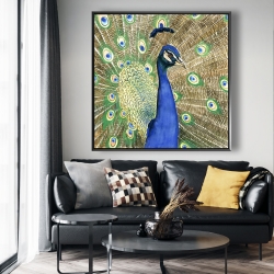 Encadré 48 x 48 - Paon