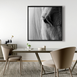 Framed 48 x 48 - The white horse eye
