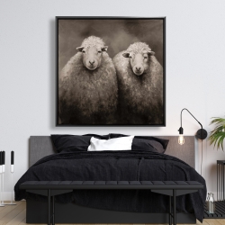 Encadré 48 x 48 - Moutons sépia