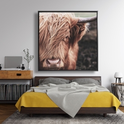 Encadré 48 x 48 - Vache highland désaturée