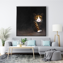 Framed 48 x 48 - Discreet cat