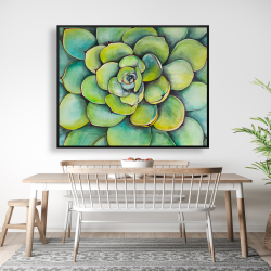 Encadré 48 x 60 - Succulent à l'aquarelle
