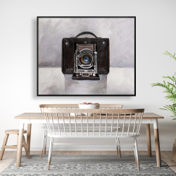 Framed 48 x 60 - Old camera