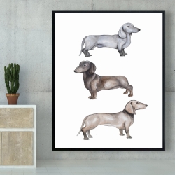 Encadré 48 x 60 - Chiens teckel