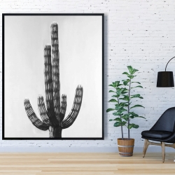 Encadré 48 x 60 - Cactus