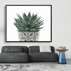 Framed 48 x 60 - Zebra plant succulent