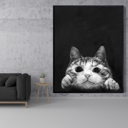 Encadré 48 x 60 - Chat curieux