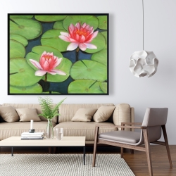 Framed 48 x 60 - Lotus flowers in a swamp