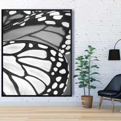 Framed 48 x 60 - Butterfly wings closeup