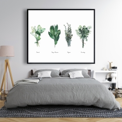Framed 48 x 60 - Fine herbs