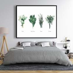 Encadré 48 x 60 - Fine herbs