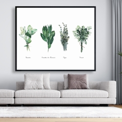 Encadré 48 x 60 - Fines herbes