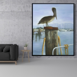 Encadré 48 x 60 - Pélican
