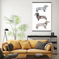 Magnétique 20 x 30 - Chiens teckel