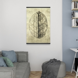 Magnetic 20 x 30 - Translucent