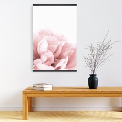 Magnétique 20 x 30 - Peonie, fleur de rêve