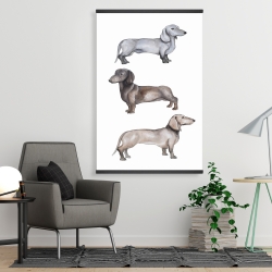 Magnétique 28 x 42 - Chiens teckel