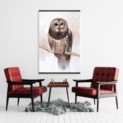 Magnetic 28 x 42 - Barred owl