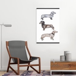 Magnétique 20 x 30 - Chiens teckel