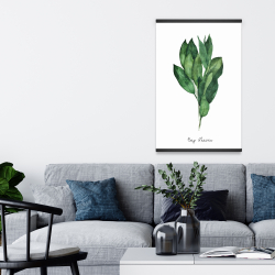 Magnétique 20 x 30 - Bouquet de feuilles de laurier - an