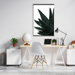 Magnétique 20 x 30 - Plante aloès