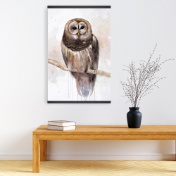 Magnetic 20 x 30 - Barred owl