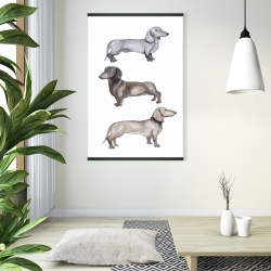 Magnétique 28 x 42 - Chiens teckel