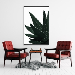 Magnétique 28 x 42 - Plante aloès